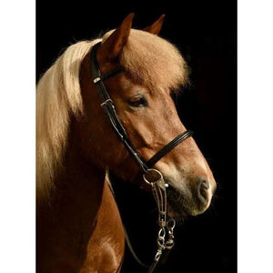 Stübben island 2300 bridle Stübben