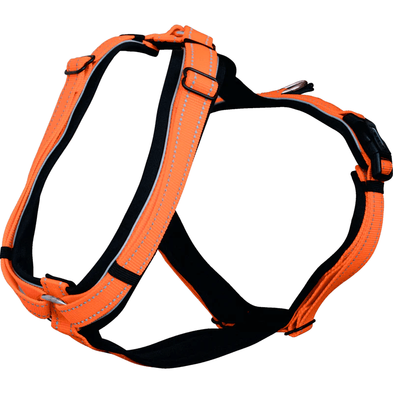 Herm. Sprenger foal harness 45744