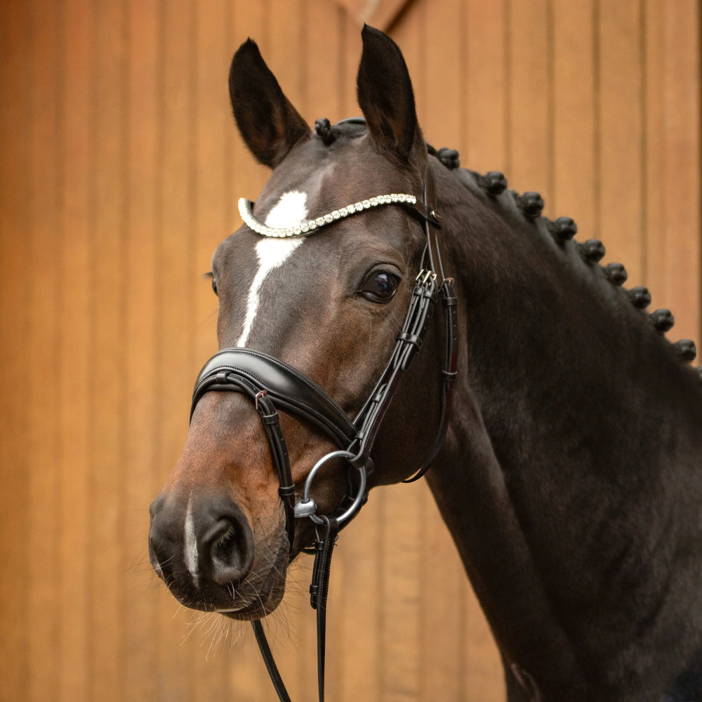 Passier favorite strang en trens hoofdstel powered by Ingrid Klimke