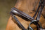 HFI elegant bridle - HorseworldEU