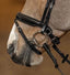 HFI pro bridle Verona - HorseworldEU