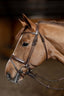 HFI Round bridle - HorseworldEU