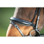 HFI shiny bridle HFI