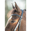 HFI soft bridle HFI