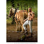 Horse and hunk calender 2023 HorseworldEU