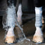 Incrediwear circulation exercise bandages - HorseworldEU