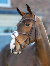 LeMieux Arika Grackle bridle - HorseworldEU