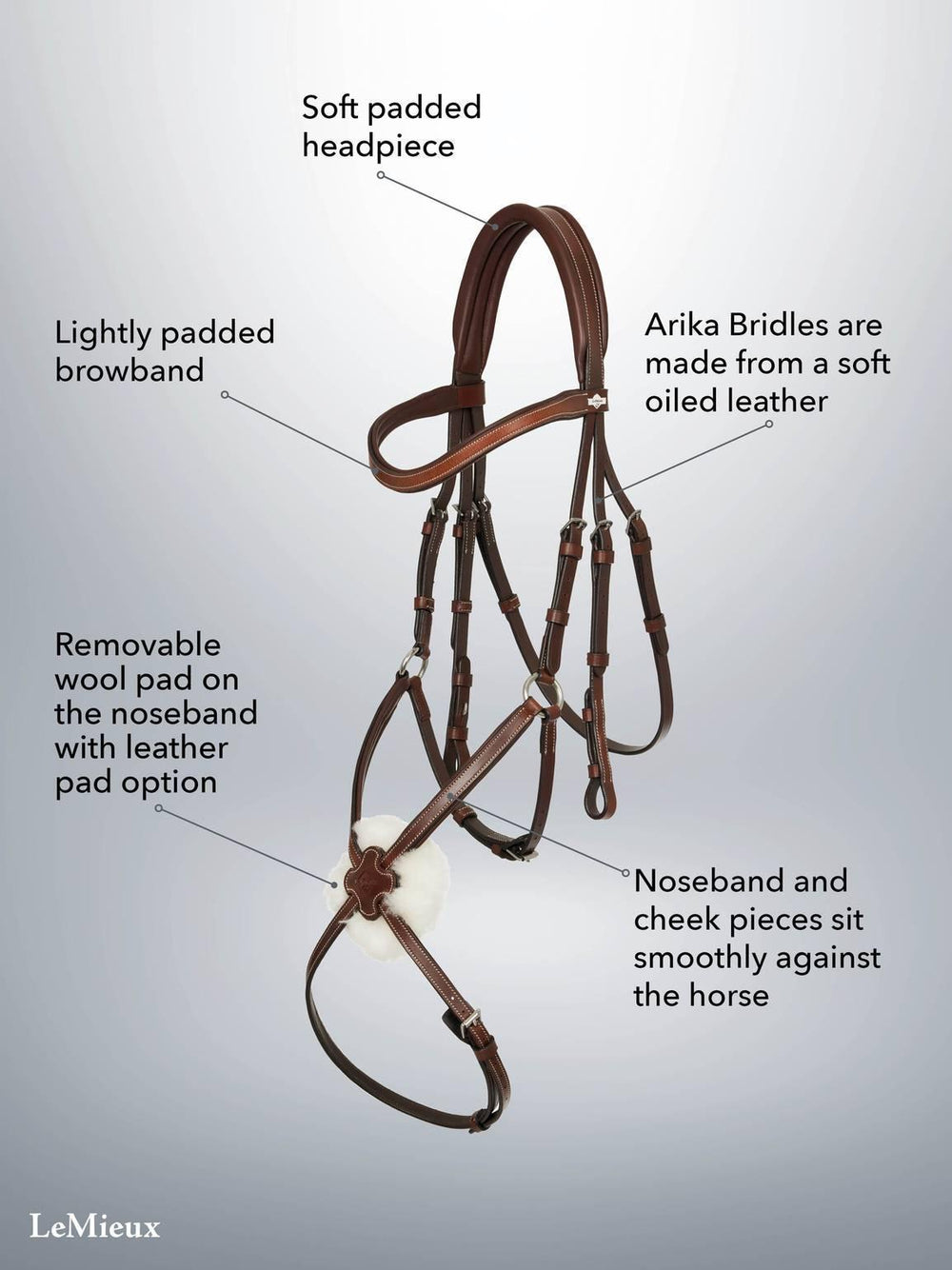 LeMieux Arika Grackle bridle - HorseworldEU