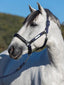 LeMieux capella headcollar - HorseworldEU