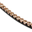 LeMieux classic diamante browband in rosé Lemieux