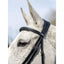 LeMieux Competition Flash bridle Lemieux