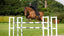 LeMieux puissance suede close contact square - HorseworldEU