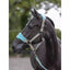 LeMieux Vogue headcollar and Leadrope Lemieux