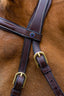 Trust Hickstead Hackamore bridle - HorseworldEU